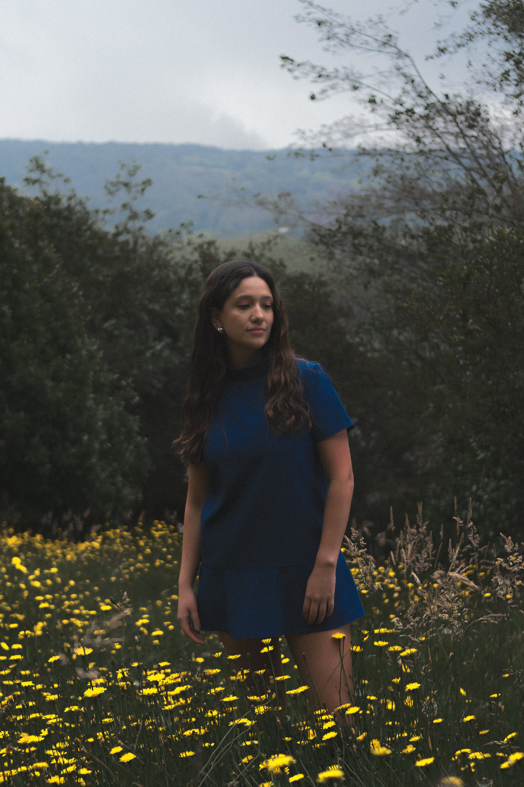 Vestido Sofía